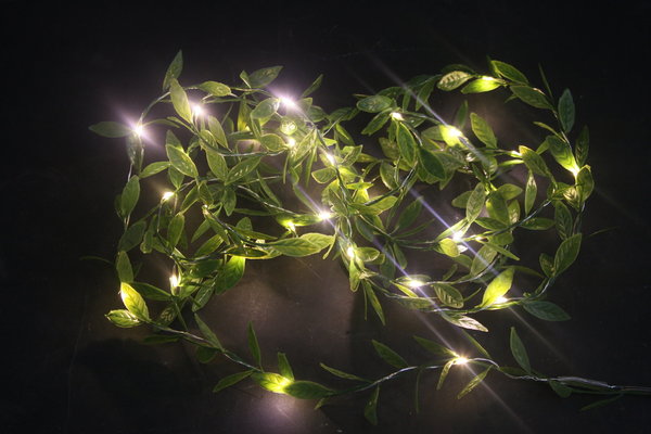 LED Lichterkette mit Weidenblätter